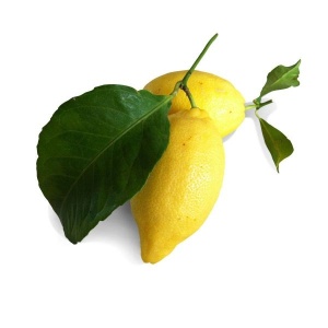 Limoni Naturali in Foglia KG 1