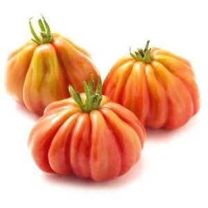 Pomodori Canestrino - 500 gr