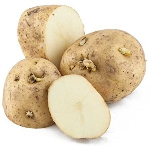 Patate bianche kennebec Montese1kg