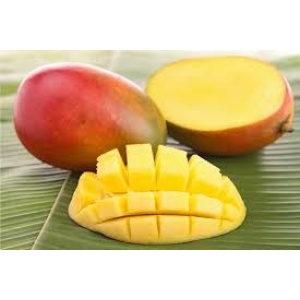 Mango Spagna via aerea maturato in pianta al pezzo