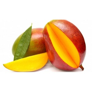 Mango Spagna via aerea maturato in pianta al pezzo