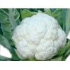 Cavolfiore bianco al pezzo da kg 1