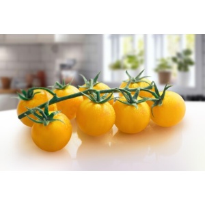 Pomodoro ciliegino giallo gr 500