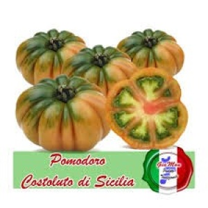 Pomodoro Costoluto Sicilia gr 500