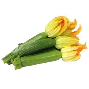 Zucchini grandi fiorentini senza fiore gr500
